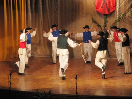 Folklorni festival 29